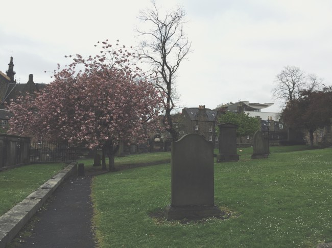 Processed with VSCOcam with t1 preset